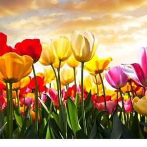 Meet your Posher, Day